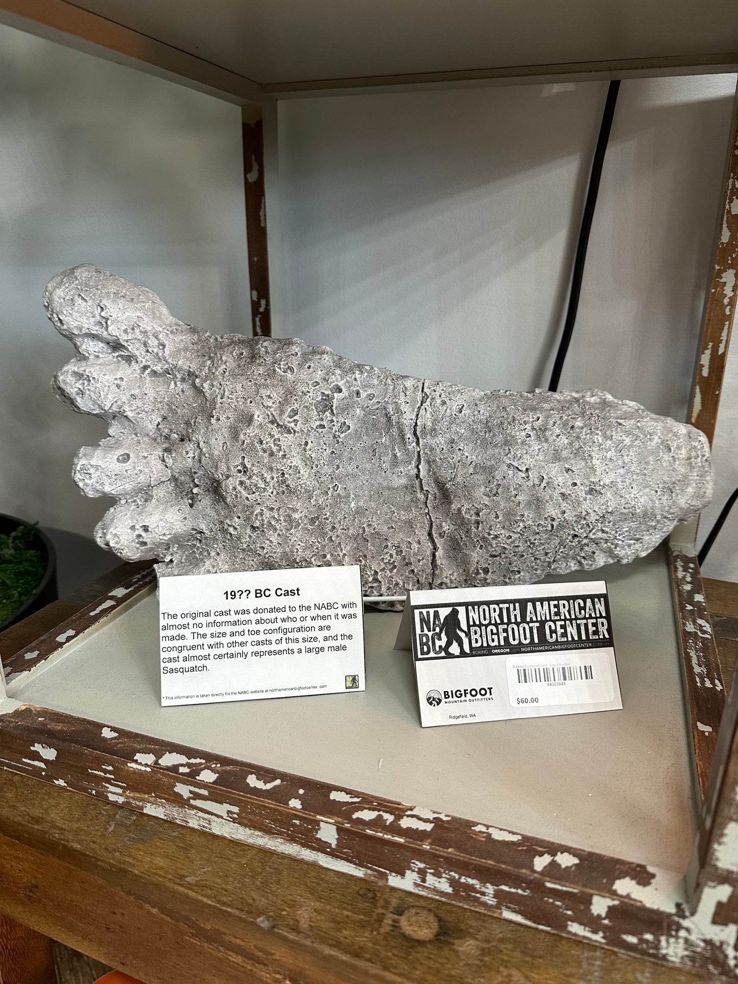 Bigfoot Footprint Cast - BC Cast